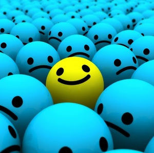 Meet your Posher, Chase